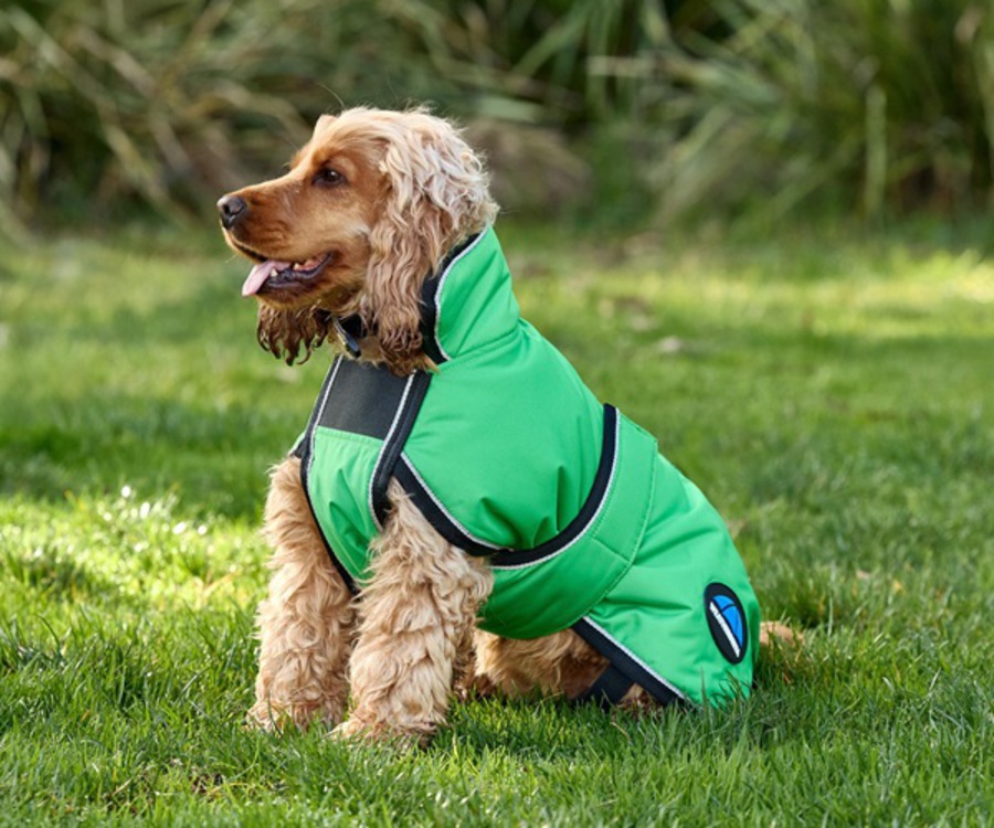 Weatherbeeta Comfitec Reflective 300D Deluxe Waterproof Dog Rug image 3