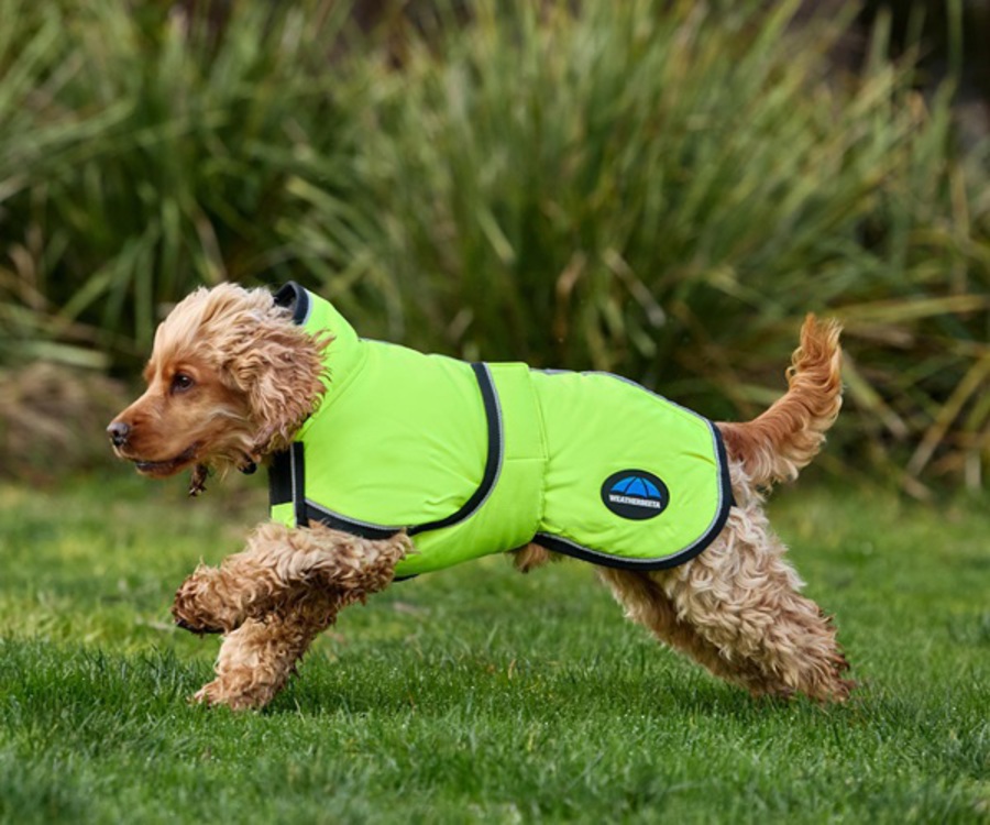 Weatherbeeta Comfitec Reflective 300D Deluxe Waterproof Dog Rug image 6