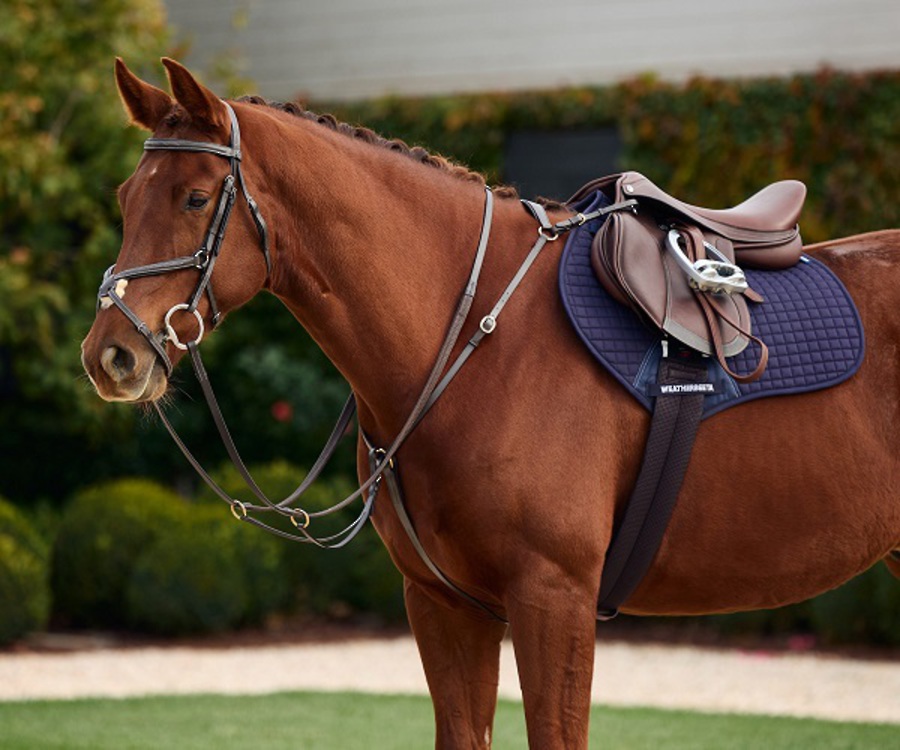 Dublin 3 Point Breastplate image 0