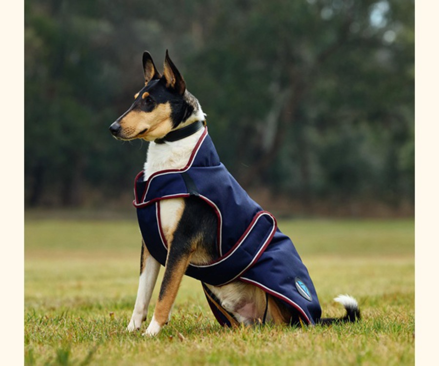 Weatherbeeta Comfitec Premier Deluxe Waterproof Dog Coat image 5