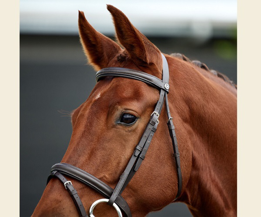 Dublin Flash Bridle image 5