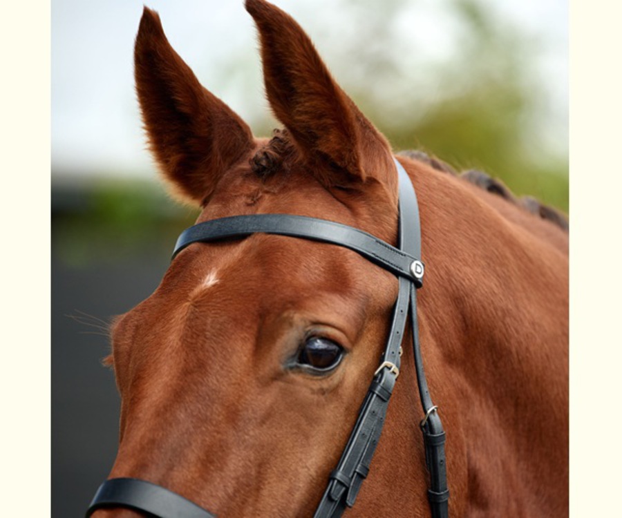 Dublin Flat Cavesson Bridle image 2
