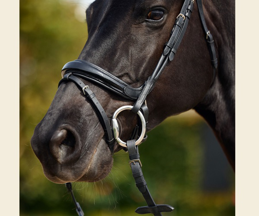 Dublin Padded Patent Flash Bridle image 3