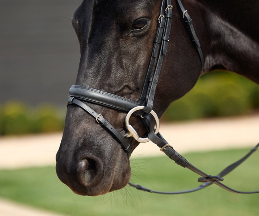 Dublin Crystal Flash Bridle image 1