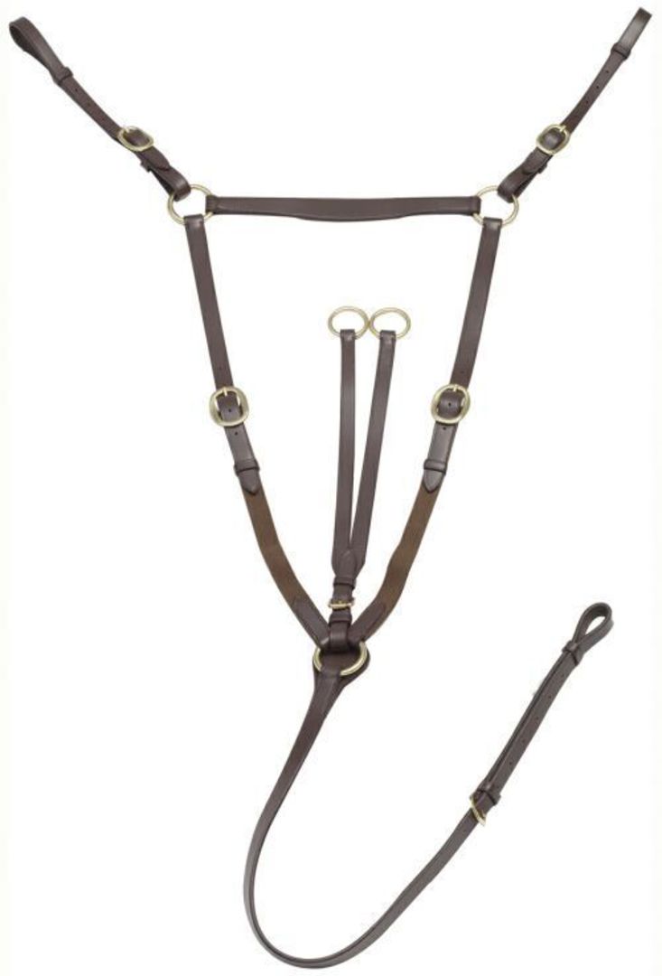 Aintree Leather Breastplate-Martingale image 0