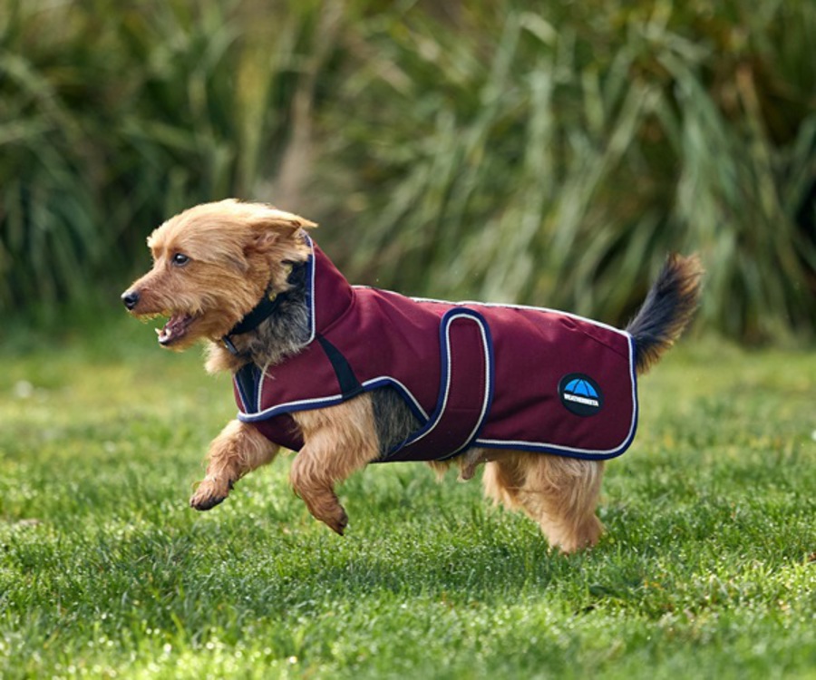 Weatherbeeta Comfitec Premier Deluxe Waterproof Dog Coat image 2