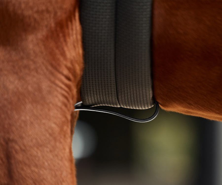 Dublin 3 Point Breastplate image 7
