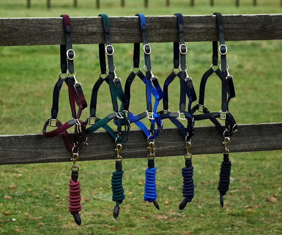 Dublin Braided Leather Headcollar image 0