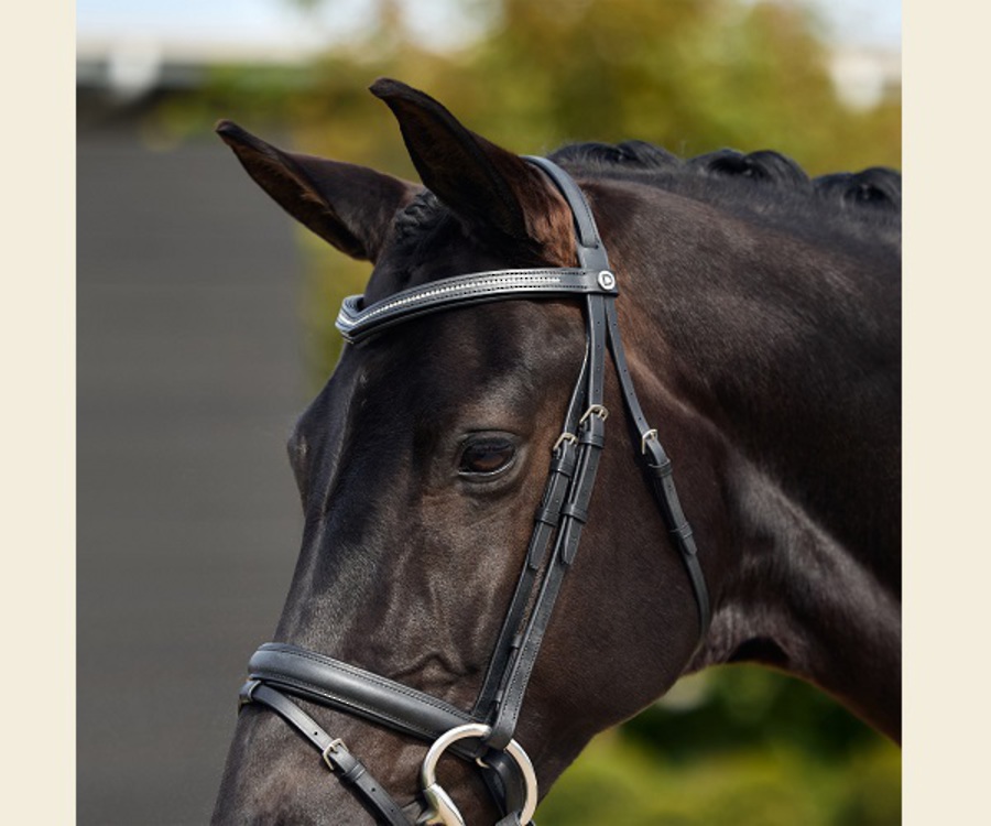 Dublin Crystal Flash Bridle image 2