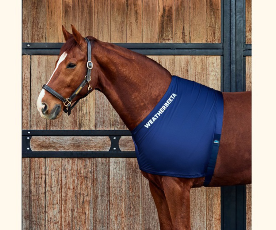 Weatherbeeta Stretch Shoulder Guard image 1