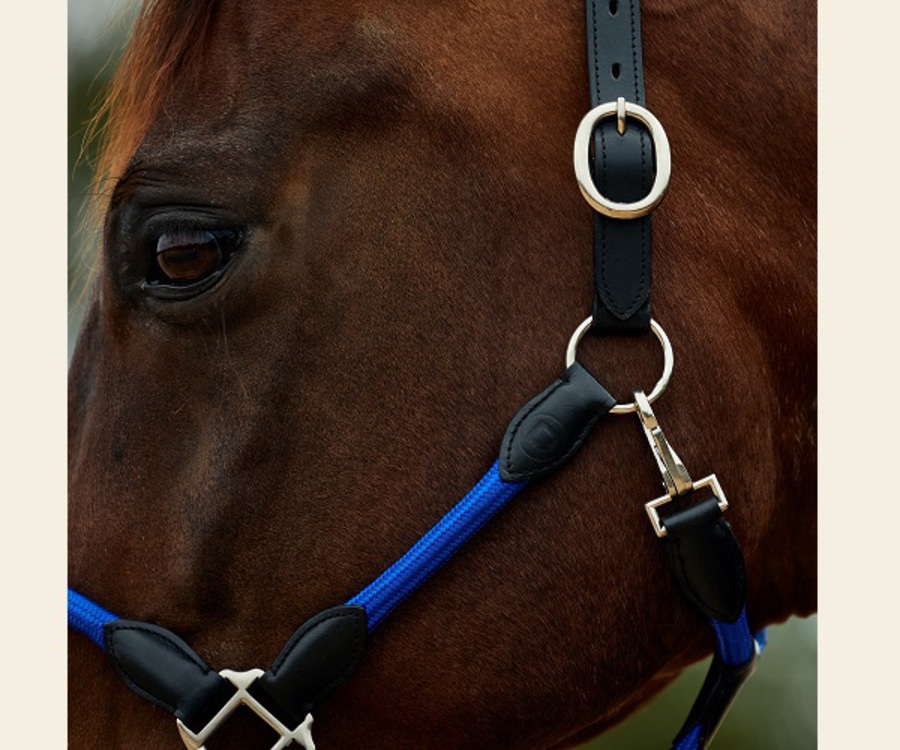 Dublin Leather Rope Headcollar image 8