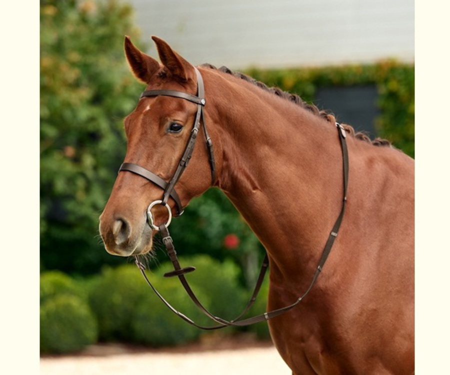 Dublin Flat Cavesson Bridle image 3