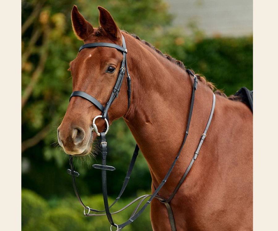 Dublin Running Martingale image 0