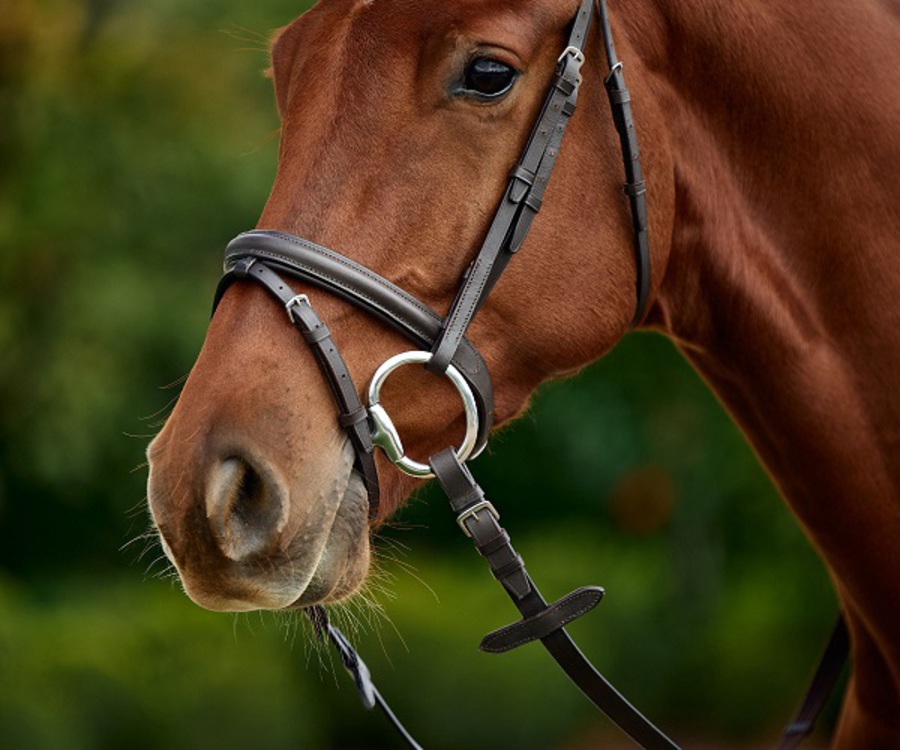 Dublin Flash Bridle image 4
