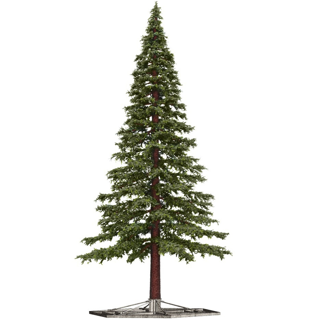 INDENT - Giant Pine Christmas Tree image 4