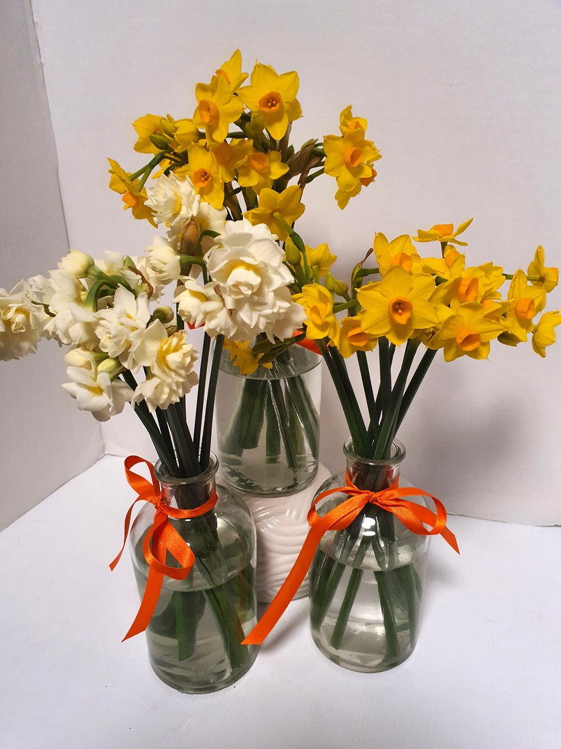 July Spring special image 0