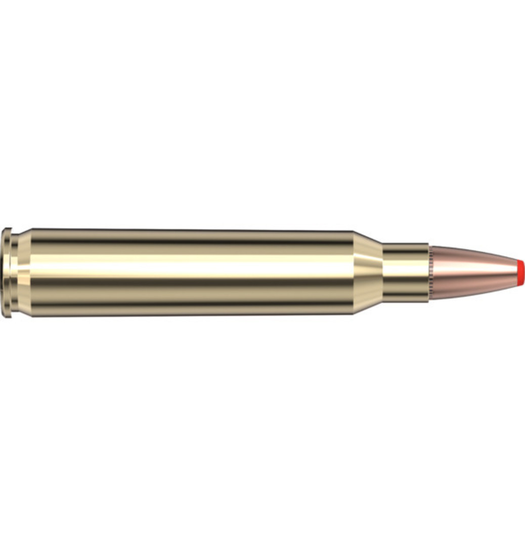 Hornady 223 Rem Critical Defense 55gr FXT image 0