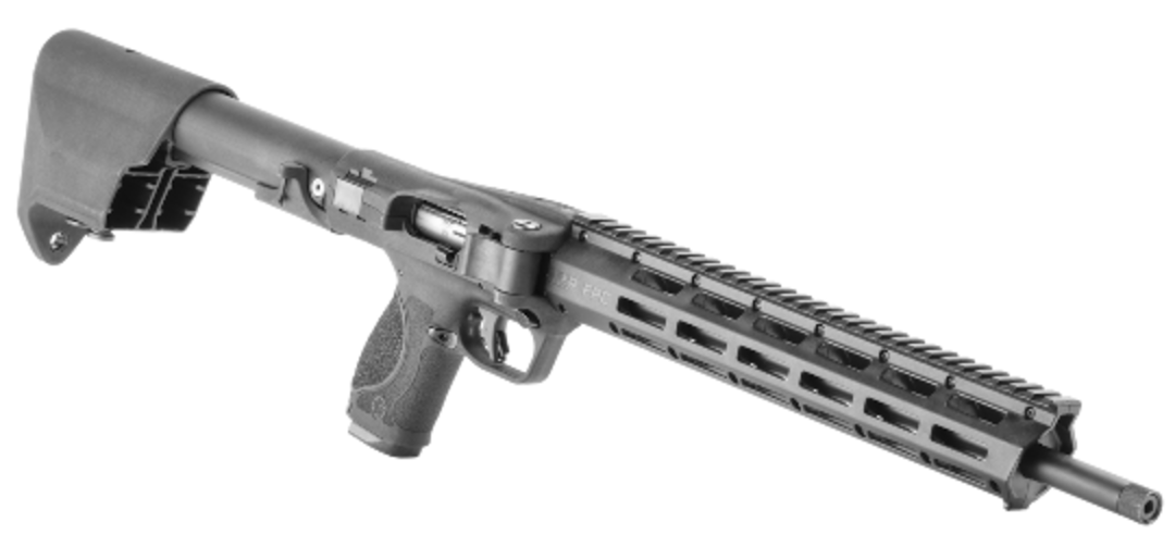 Smith & Wesson FPC 22LR image 2