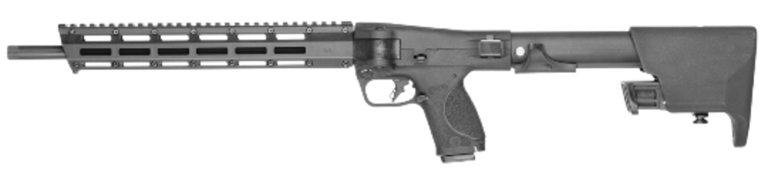 Smith & Wesson FPC 22LR image 1