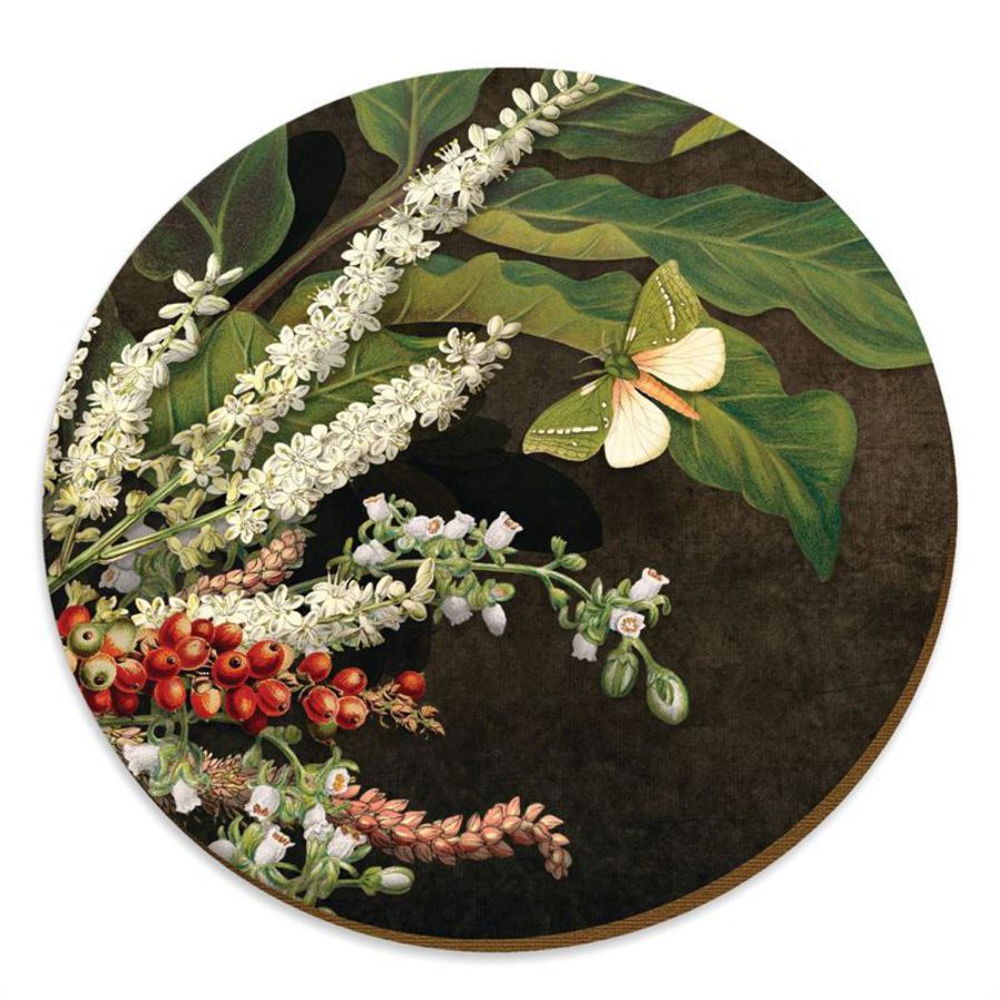Nikau Berries and Kohekohe NZ Placemat image 0