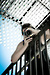 London Photography Workshop