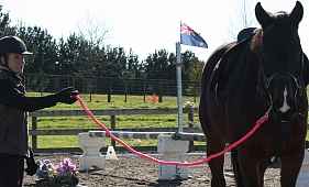Le Trec 002.jpg