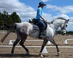 Marnae and Dollar at the end of the Le Trec Clinic