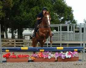 Jumping for precision not height