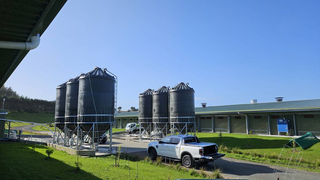 Smart Silo SS30 (19t Meal) - Feed System Silo image 4