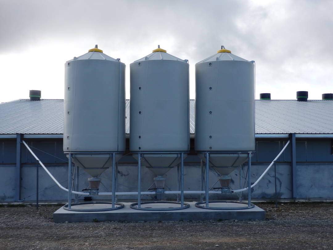 Smart Silo SS14 (9t Meal) - Feed System Silo image 3