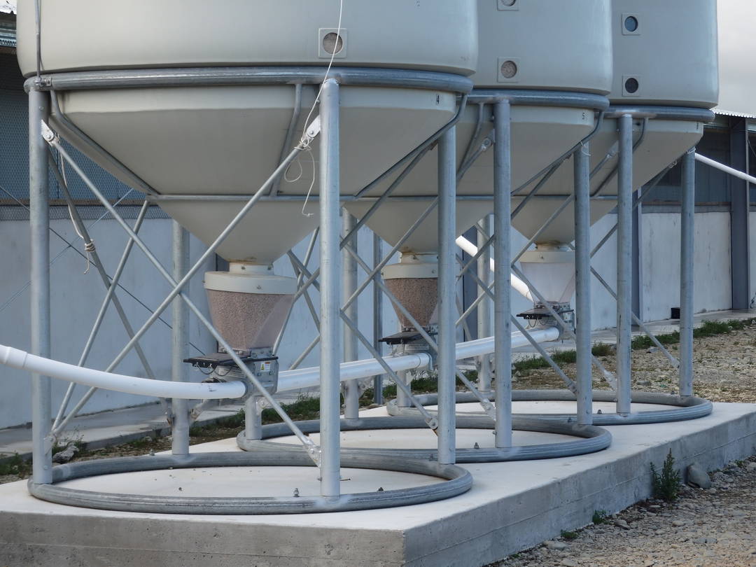 Smart Silo SS14 (9t Meal) - Feed System Silo image 4