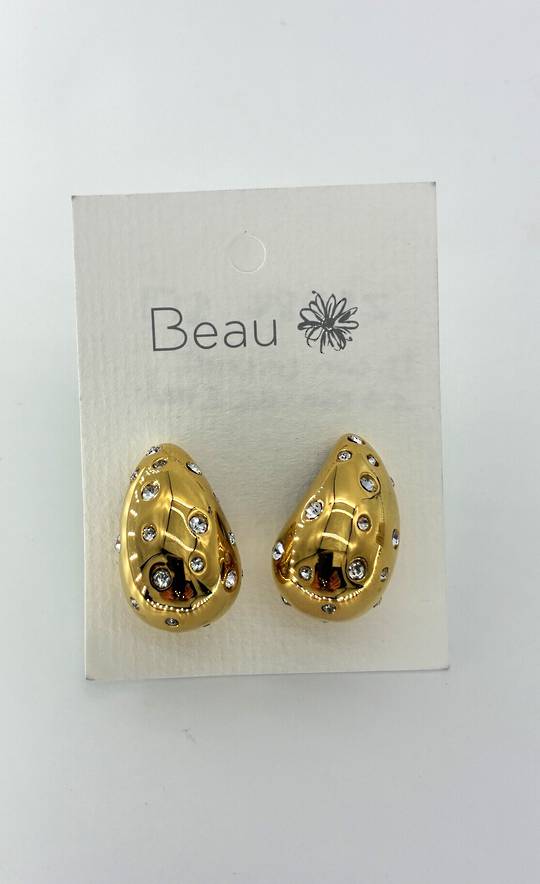 Diamond Encrusted Stainless Steel Earring
