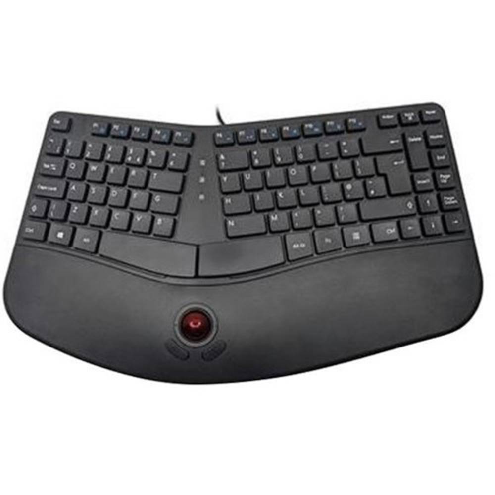 A Shape Wired Keyboard with Trackball Mouse