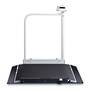 Seca Wheelchair Scales
