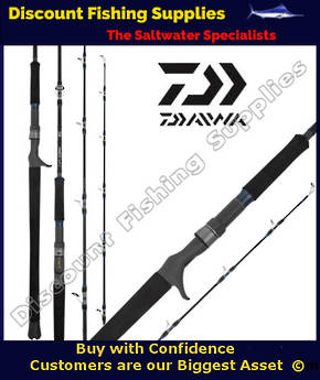 Daiwa Leobritz Dendoh Game Electric Reel Rod PE5-6