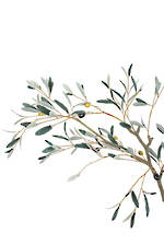Olive Leaf Branch 120 cm -JULY