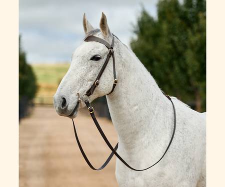 Dublin 3/4 Stitched Barcoo Bridle