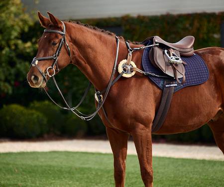 Dublin 5 Point Event Breastplate