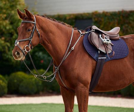Dublin 3 Point Breastplate