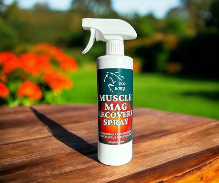 EcoHorse Muscle Mag Recovery Spray