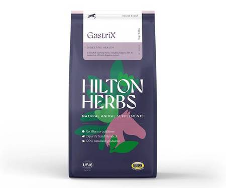 Hilton Herbs Gastri X