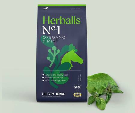 Hilton Herbs Herballs - No1 Oregano & Mint