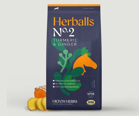 Hilton Herbs Herballs - No2 Turmeric & Ginger