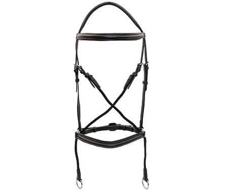 Platinum Bitless Bridle