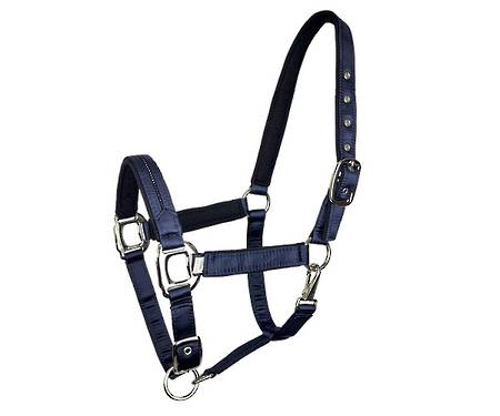 Zilco Gloria Halter