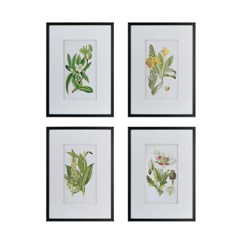 FLORES BOTANICAL PRINT SET/4