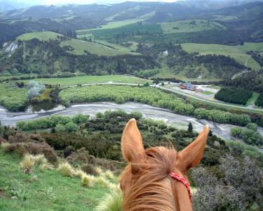 Natural Horsemanship and Treks