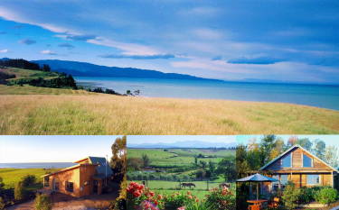 Nelson Coastal Barnstay
