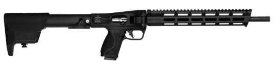 Smith & Wesson FPC 22LR
