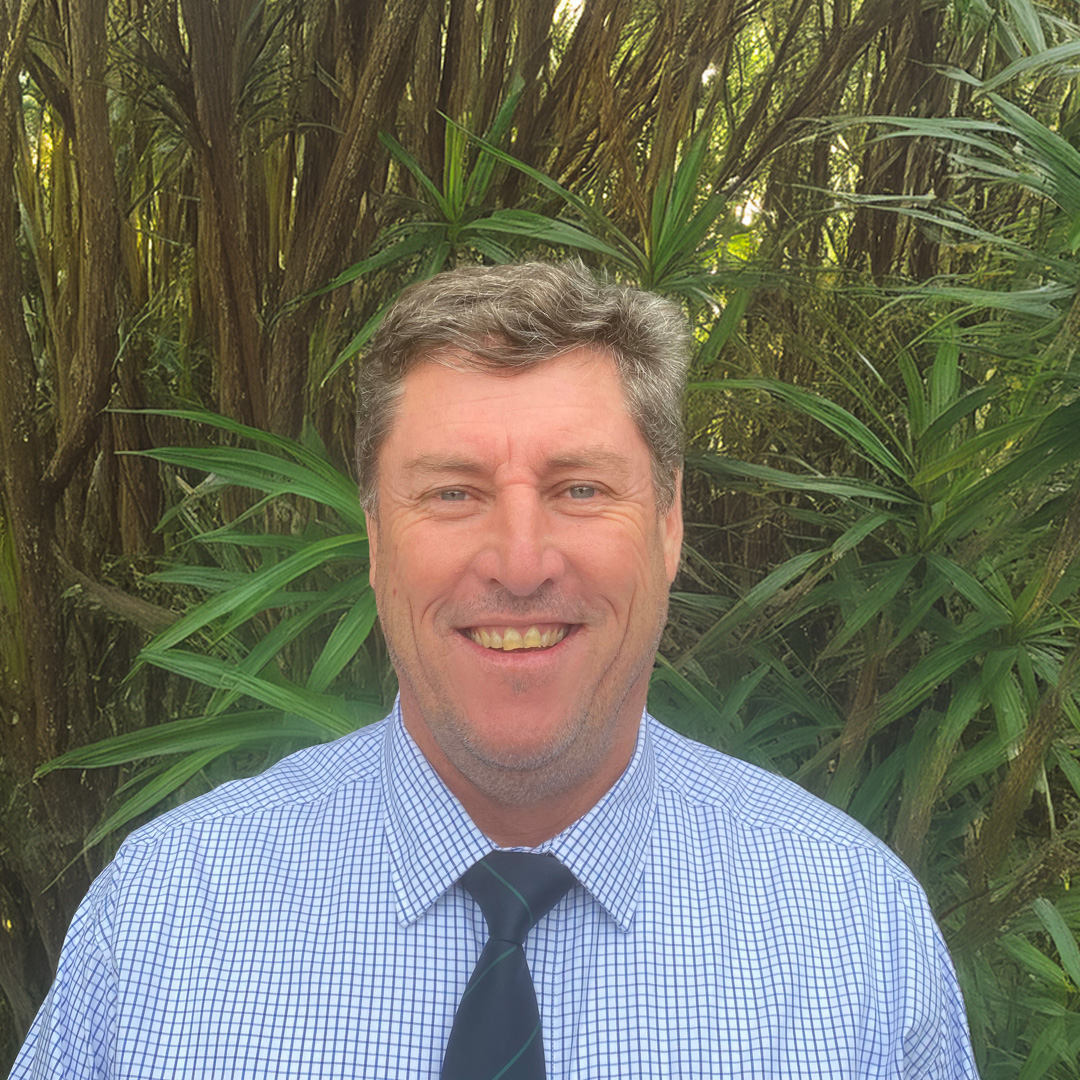 David van der Merwe profile image